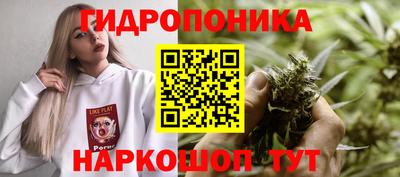 СК Мариинск