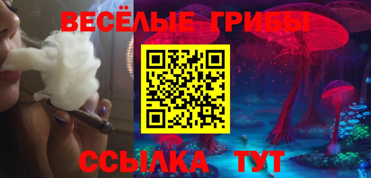 Канабис  Богородицк  А ПВП СК   Меф  ГАШИШ  АМФ кристаллы  Кокаин  MDMA  Мефедрон кристаллы  Вход с VPN 